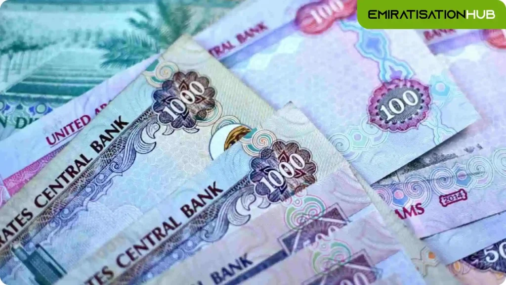 Emirati Salary Support Scheme