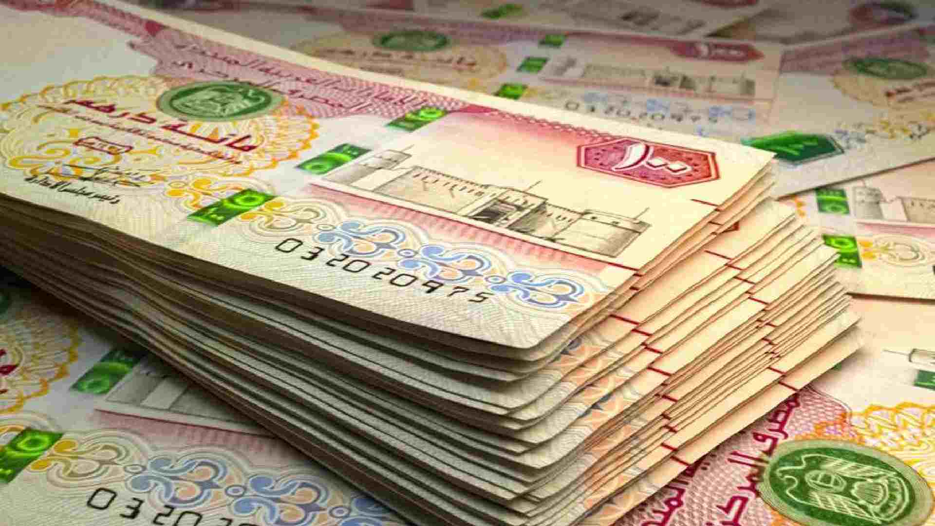 Nafis Emirati Salary Support Scheme